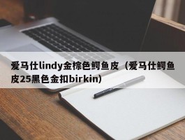 爱马仕lindy金棕色鳄鱼皮（爱马仕鳄鱼皮25黑色金扣birkin）
