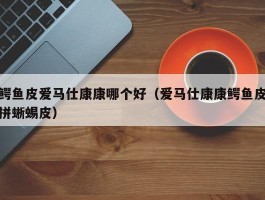 鳄鱼皮爱马仕康康哪个好（爱马仕康康鳄鱼皮拼蜥蜴皮）