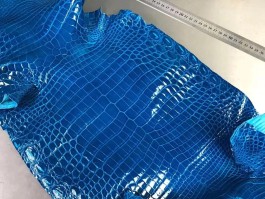 爱马仕鳄鱼皮大衣(爱马仕鳄鱼皮衣100多万)