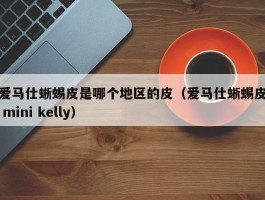 爱马仕蜥蜴皮是哪个地区的皮（爱马仕蜥蜴皮 mini kelly）