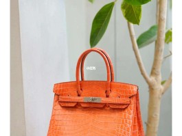 爱马仕birkin包鳄鱼皮(爱马仕birkin鳄鱼皮波尔多红)