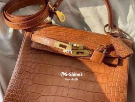 爱马仕鳄鱼皮kelly25(爱马仕鳄鱼皮kelly25哪里买)