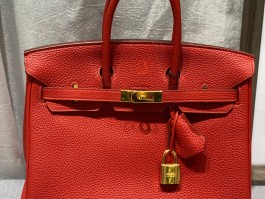 爱马仕birkin25蜥蜴皮公价(爱马仕蜥蜴皮 mini kelly)