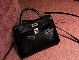 爱马仕女士包价格(爱马仕女士包价格多少)