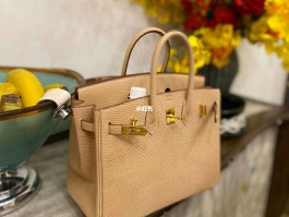 爱马仕蜥蜴皮birkin(爱马仕蜥蜴皮是哪个地区的皮)