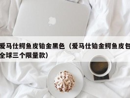 爱马仕鳄鱼皮铂金黑色（爱马仕铂金鳄鱼皮包全球三个限量款）