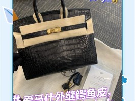 爱马仕鳄鱼皮女包价格(爱马仕鳄鱼皮女包顶级系列)