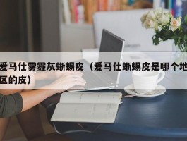 爱马仕雾霾灰蜥蜴皮（爱马仕蜥蜴皮是哪个地区的皮）