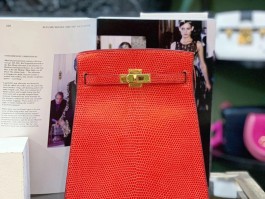 俄罗斯爱马仕蜥蜴皮定制(爱马仕蜥蜴皮birkin)