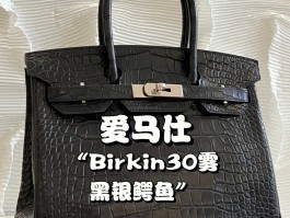 爱马仕birkin鳄鱼皮雾面(爱马仕鳄鱼皮mini kelly)
