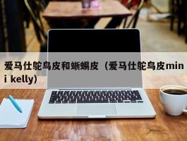 爱马仕鸵鸟皮和蜥蜴皮（爱马仕鸵鸟皮mini kelly）