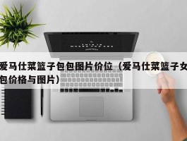 爱马仕菜篮子包包图片价位（爱马仕菜篮子女包价格与图片）