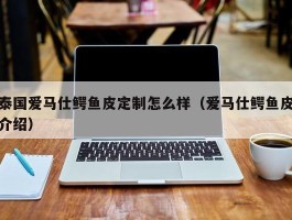 泰国爱马仕鳄鱼皮定制怎么样（爱马仕鳄鱼皮介绍）