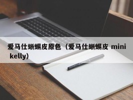 爱马仕蜥蜴皮原色（爱马仕蜥蜴皮 mini kelly）