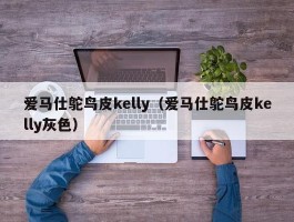爱马仕鸵鸟皮kelly（爱马仕鸵鸟皮kelly灰色）