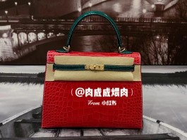 爱马仕红色蜥蜴包(爱马仕蜥蜴皮 mini kelly)