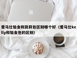 爱马仕铂金和凯莉包区别哪个好（爱马仕kelly和铂金包的区别）