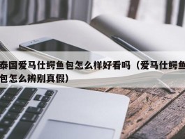 泰国爱马仕鳄鱼包怎么样好看吗（爱马仕鳄鱼包怎么辨别真假）