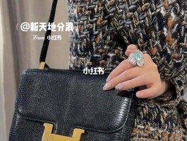 关于爱马仕蜥蜴皮入门包价格的信息