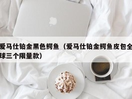 爱马仕铂金黑色鳄鱼（爱马仕铂金鳄鱼皮包全球三个限量款）
