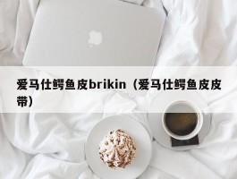 爱马仕鳄鱼皮brikin（爱马仕鳄鱼皮皮带）