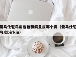 爱马仕鸵鸟皮包包和鳄鱼皮哪个贵（爱马仕鸵鸟皮birkin）