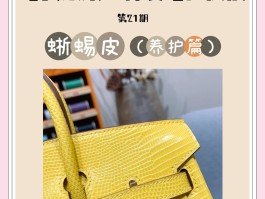 爱马仕雾霾灰蜥蜴皮在哪里(爱马仕蜥蜴皮birkin25)