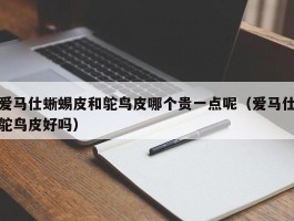 爱马仕蜥蜴皮和鸵鸟皮哪个贵一点呢（爱马仕鸵鸟皮好吗）
