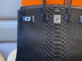 爱马仕铂金包蜥蜴皮(爱马仕铂金包普皮价格)