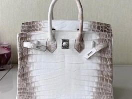 爱马仕铂金包鳄鱼皮钻石扣(爱马仕鳄鱼皮铂金包真假对比)