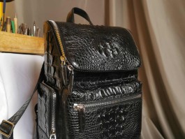 爱马仕鳄鱼皮制品有哪些(爱马仕鳄鱼皮制品有哪些款式)