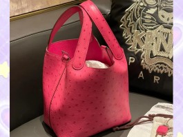 包含爱马仕鸵鸟皮是真的鸵鸟皮吗为什么的词条