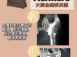 爱马仕手提包真假辨别视频(爱马仕手提包真假辨别视频讲解)