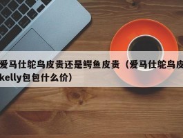 爱马仕鸵鸟皮贵还是鳄鱼皮贵（爱马仕鸵鸟皮kelly包包什么价）
