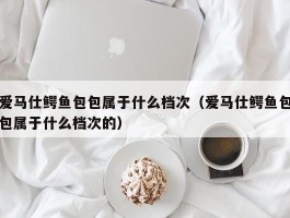 爱马仕鳄鱼包包属于什么档次（爱马仕鳄鱼包包属于什么档次的）