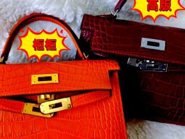 爱马仕包包鳄鱼皮什么品种(爱马仕鳄鱼皮有几种哪一种好)