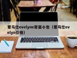 爱马仕evelyne背面小包（爱马仕evelyn价格）