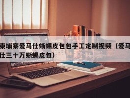 柬埔寨爱马仕蜥蜴皮包包手工定制视频（爱马仕三十万蜥蜴皮包）