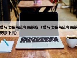 爱马仕鸵鸟皮和蜥蜴皮（爱马仕鸵鸟皮和蜥蜴皮哪个贵）