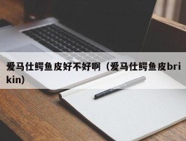 爱马仕鳄鱼皮好不好啊（爱马仕鳄鱼皮brikin）