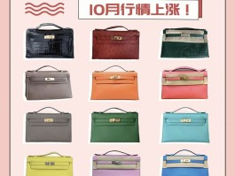 关于蜥蜴皮爱马仕包多少钱的信息