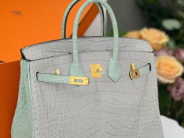 爱马仕birkin25鳄鱼白(爱马仕birkin包包价格一览表)