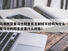 马来西亚爱马仕鳄鱼皮定制好不好吗为什么（爱马仕的鳄鱼皮是什么鳄鱼）