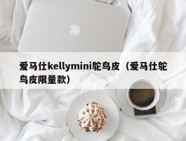爱马仕kellymini鸵鸟皮（爱马仕鸵鸟皮限量款）