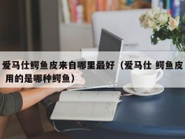 爱马仕鳄鱼皮来自哪里最好（爱马仕 鳄鱼皮 用的是哪种鳄鱼）