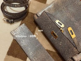 爱马仕蜥蜴价格(爱马仕香水哪款最经典)
