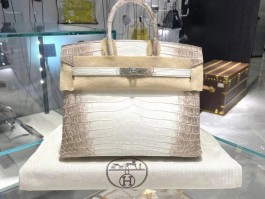 爱马仕喜马拉雅铂金包钻扣(爱马仕birkin喜马拉雅钻扣)