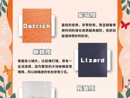 爱马仕包包皮料种类(爱马仕包包皮料种类图片)