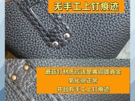爱马仕蜥蜴皮birkin鉴定(爱马仕蜥蜴皮birkin25多少钱)
