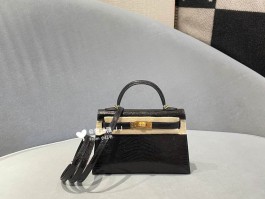爱马仕蜥蜴品种(爱马仕蜥蜴包价钱)